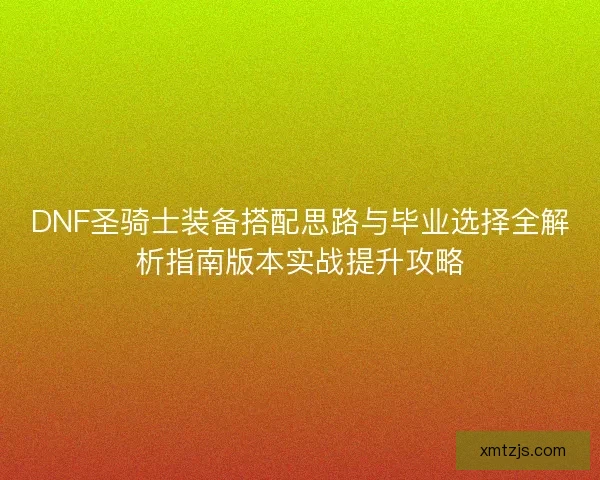 DNF圣骑士装备搭配思路与毕业选择全解析指南版本实战提升攻略