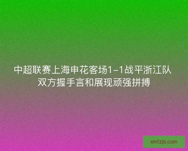 中超联赛上海申花客场1-1战平浙江队 双方握手言和展现顽强拼搏 中超联赛上海申花客场1-1战平浙江队 双方握手言和展现顽强拼搏